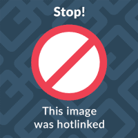 Bildschirmfoto 2019-09-09 um 17.29.41 Bildschirmfoto 2019-09-09 um 17.29.41